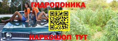 ALPHA PVP Новозыбков